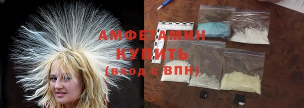 дживик Ельня