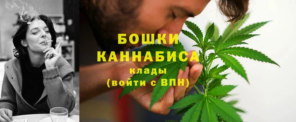 дживик Ельня