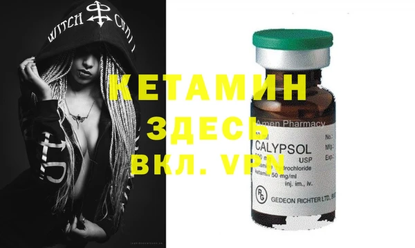 дживик Ельня