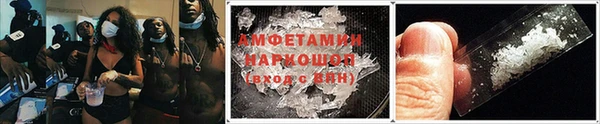 дживик Ельня