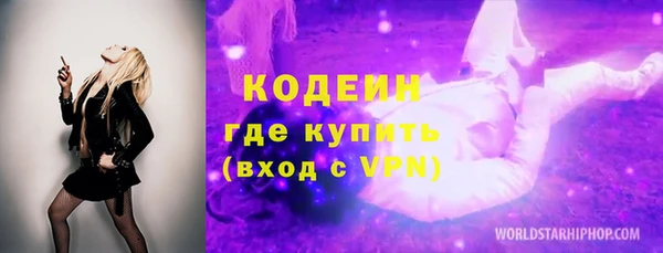 дживик Ельня