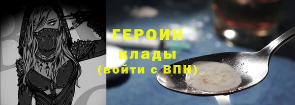 дживик Ельня