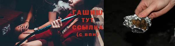 дживик Ельня