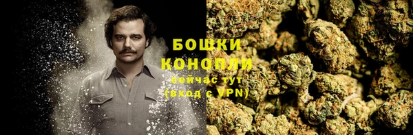 дживик Ельня