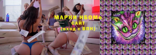 дживик Ельня