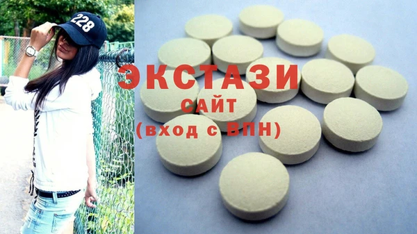 дживик Ельня