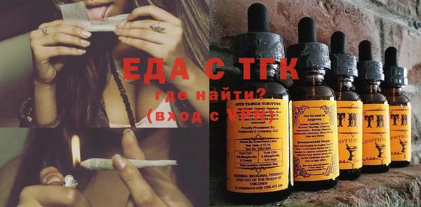 дживик Ельня