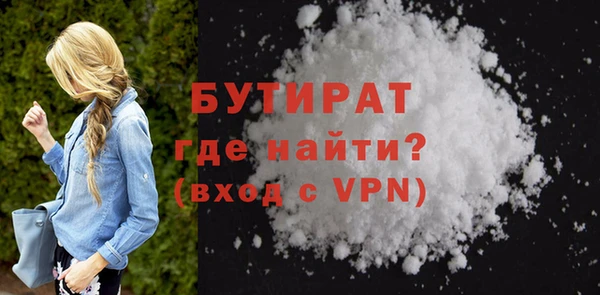 дживик Ельня