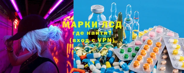 дживик Ельня