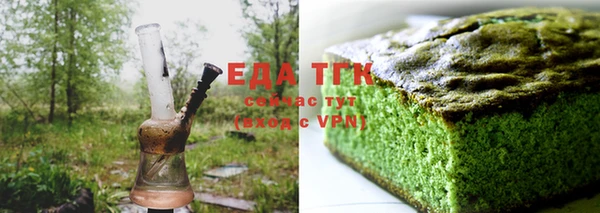 дживик Ельня