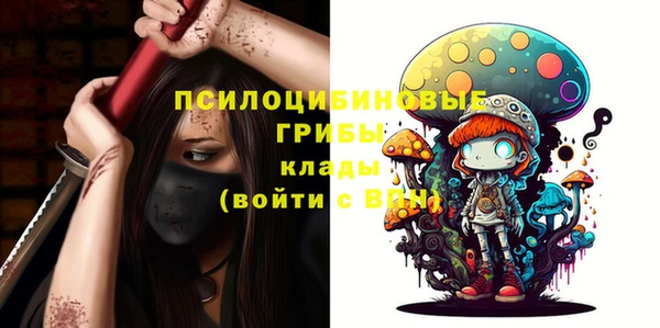 дживик Ельня