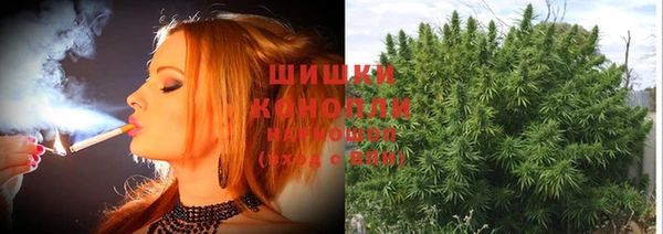 дурь Елизово