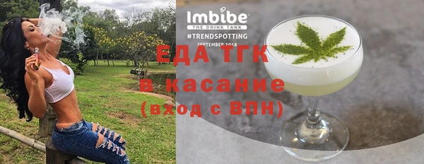 дживик Ельня