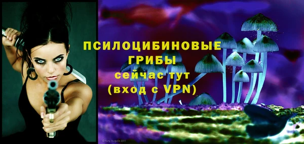 прущий лед Белая Холуница
