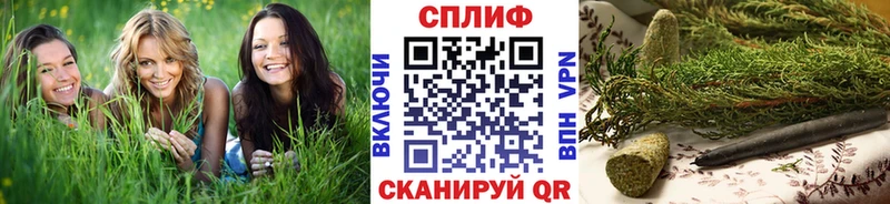 Марихуана план  купить закладку  Западная Двина 